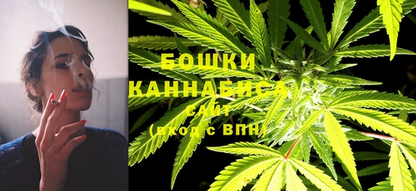 спиды Арсеньев