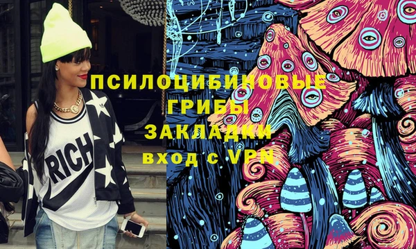 спиды Арсеньев