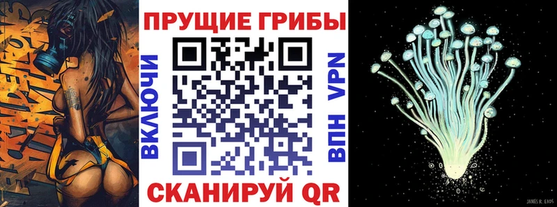 Псилоцибиновые грибы GOLDEN TEACHER  даркнет как зайти  Чадан  где купить наркотик 